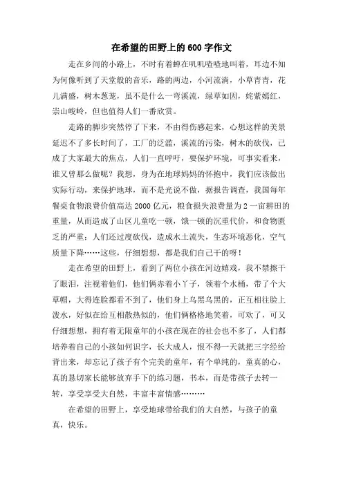 在希望的田野上的600字作文