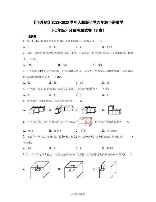 小升初2022-2023学年人教版小学六年级下册数学七年级分班考测试卷(B卷)含答案