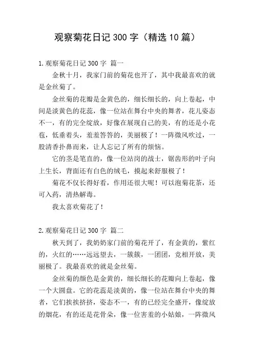 观察菊花日记300字(精选10篇)