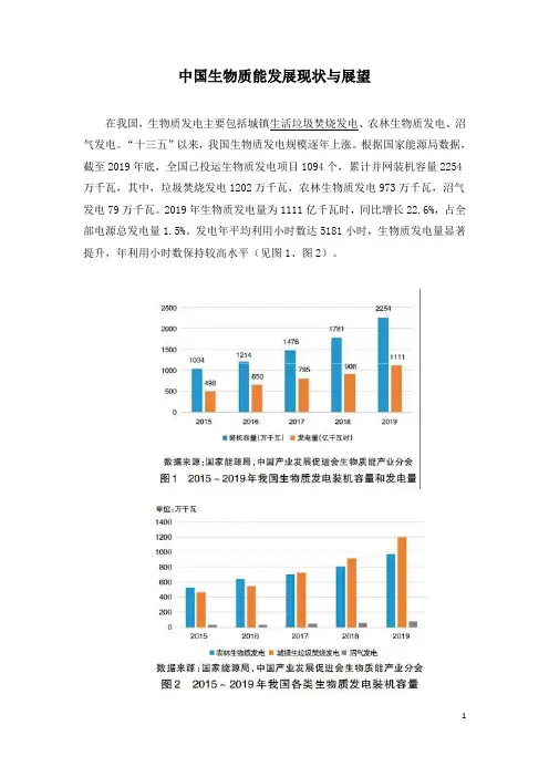 中国生物质能发展现状与展望