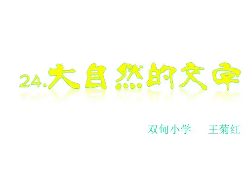 24大自然的文字课件
