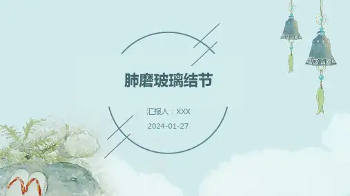 肺磨玻璃结节教学演示课件