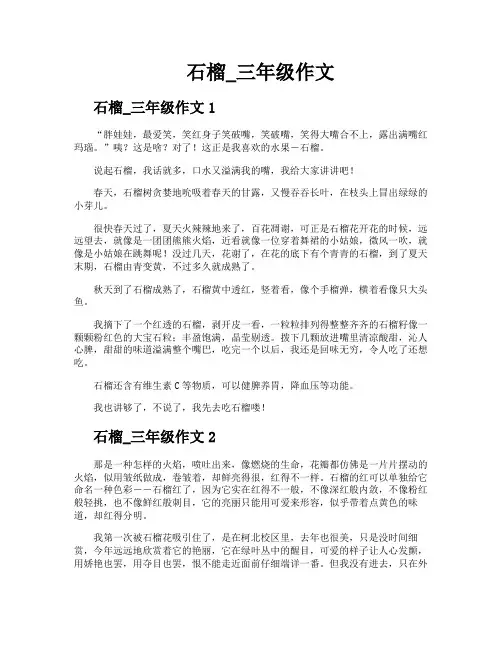 石榴三年级作文