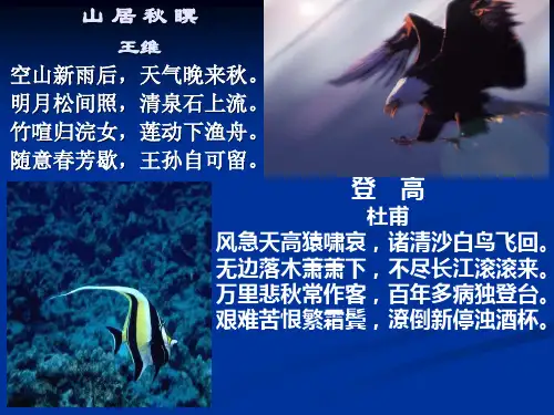高中语文-《故都的秋》