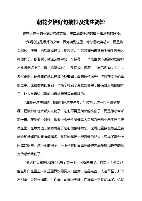 朝花夕拾好句摘抄及批注简短