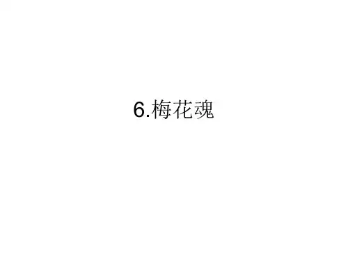 自主学习6.梅花魂参考答案