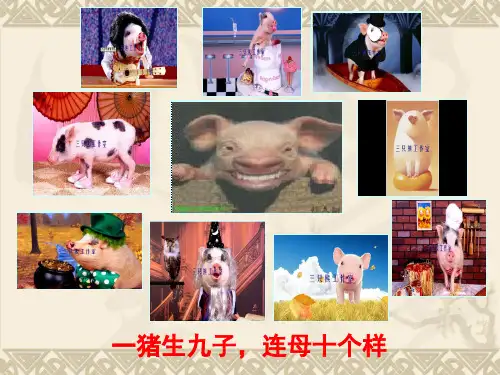 5.2自然地理环境的差异性(共39张PPT)[优秀课件资料]