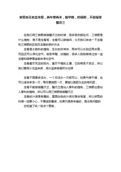 家里养花养盆龙骨，两年窜两米，吸甲醛，防辐射，不能嫁接蟹爪兰