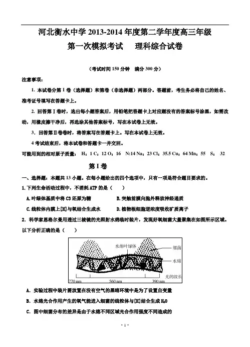 河北省衡水中学2014届高三第一次模拟考试 理综试卷