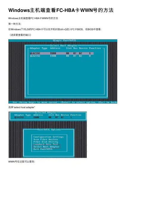 Windows主机端查看FC-HBA卡WWN号的方法
