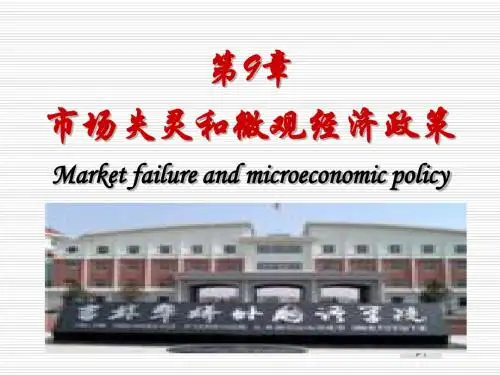 场失灵和微观经济政策