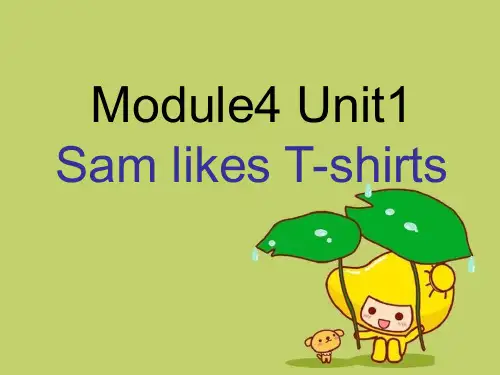 二年级英语上册Module4Unit1SamlikeT_shirts1外研版(一起)精品 课件 
