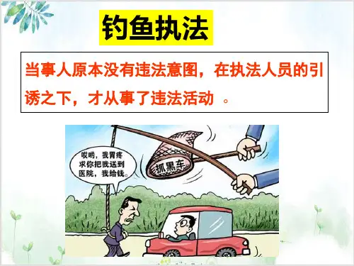人教版政府的权力：依法行使教用PPT(高中政治)1-PPT精美课件