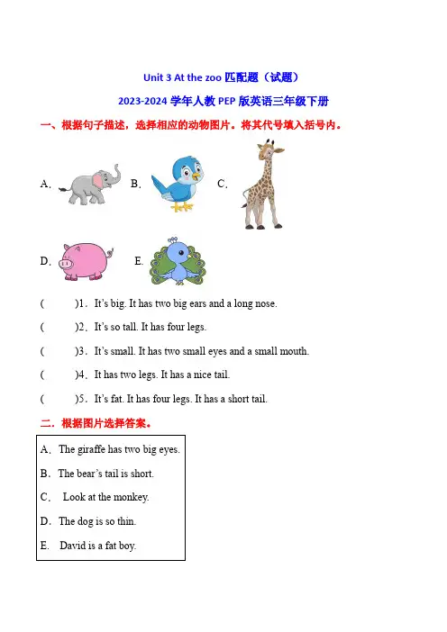 Unit3Atthezoo匹配题(试题)2023-2024学年人教PEP版英语三年级下册