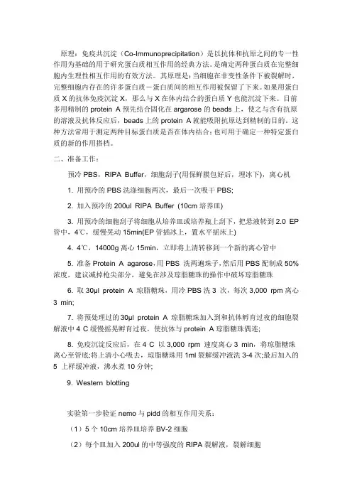 免疫共沉淀