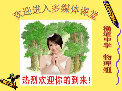 九年物理期末总复习专项训练(作图题)