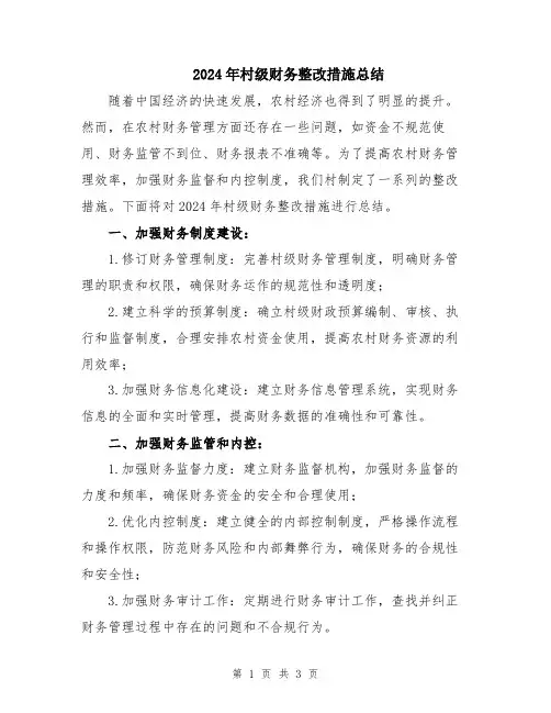 2024年村级财务整改措施总结