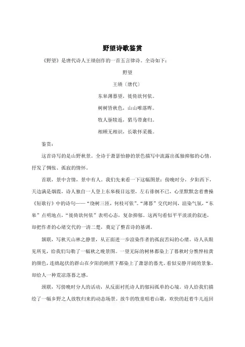 野望诗歌鉴赏