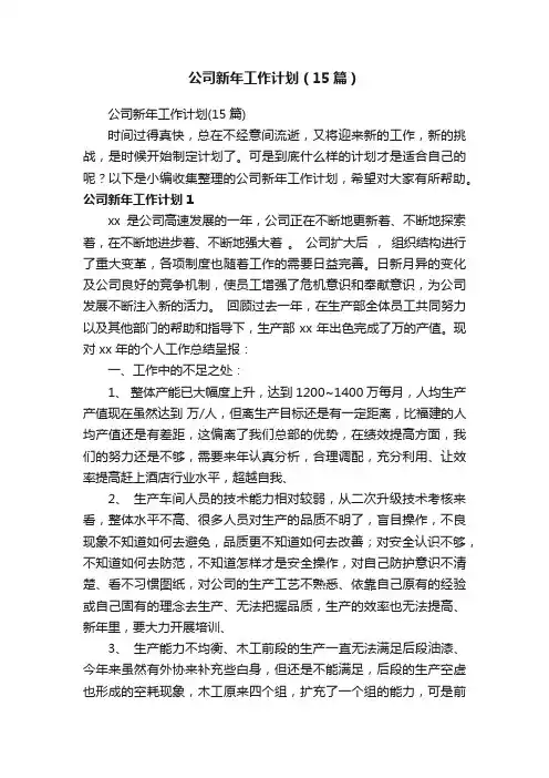 公司新年工作计划（15篇）
