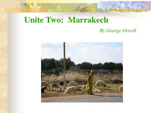 Marrakech 新版