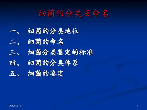 细菌的分类及命名 ppt课件