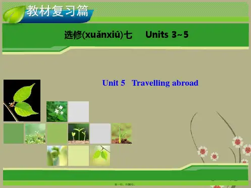 高考英语一轮复习 Unit 5 Travelling abroad指导课件 新人教版选修7
