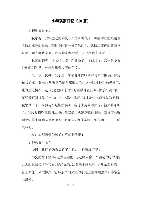 小狗观察日记(10篇)