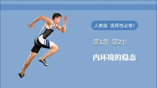 1.2内环境的稳态课件高二上学期生物人教版选择性必修一