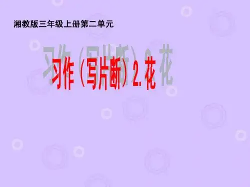 习作(三上习作2)