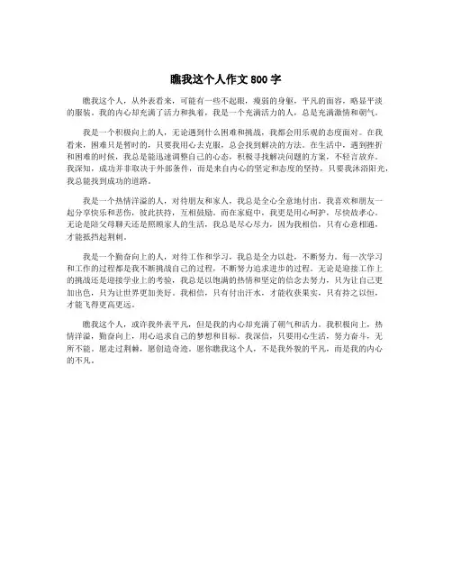 瞧我这个人作文800字 2