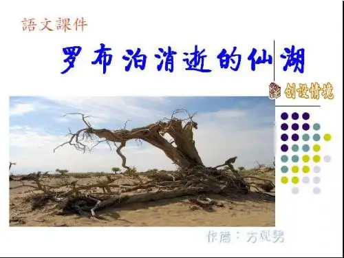 罗布泊消逝的仙湖课件