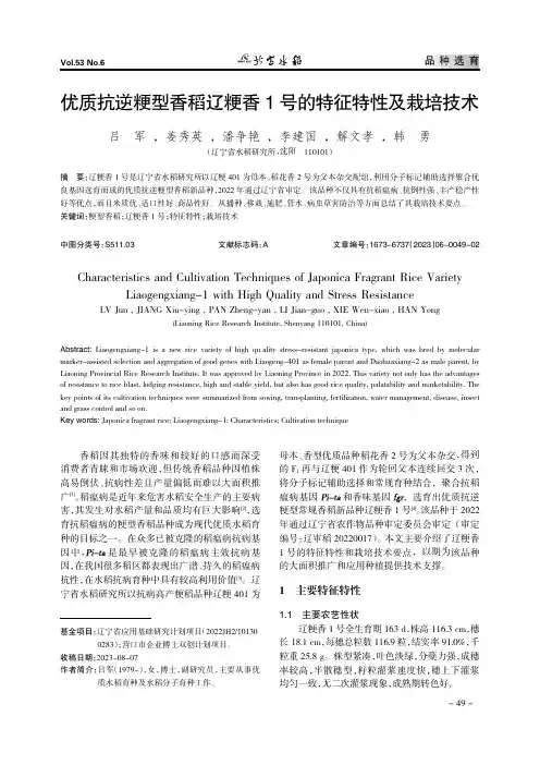 优质抗逆粳型香稻辽粳香1号的特征特性及栽培技术