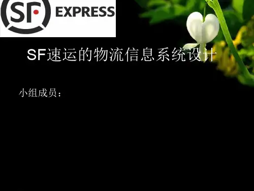 顺丰管理信息系统  ppt课件