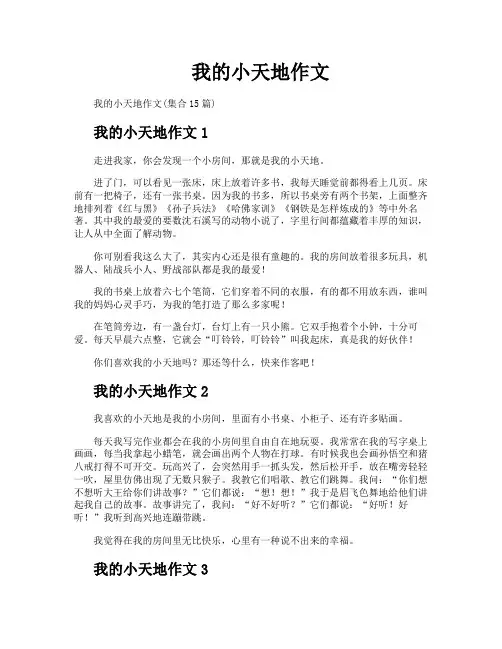 我的小天地作文