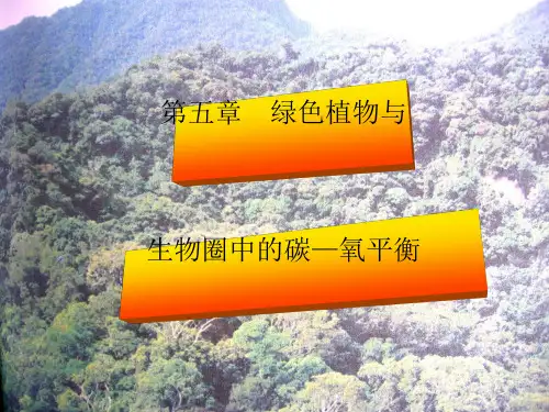 生物圈中的碳—氧平衡全面版