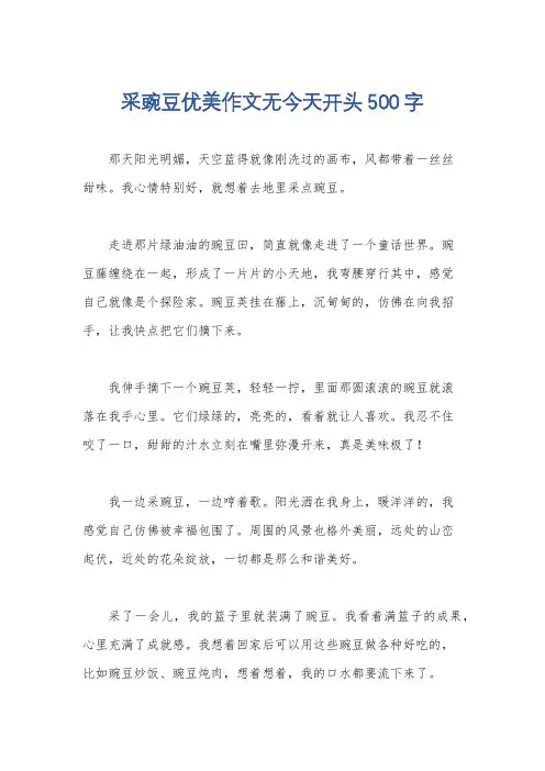 采豌豆优美作文无今天开头500字
