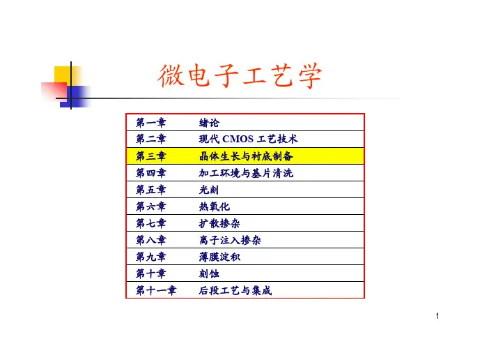 微电子工艺学课件_3