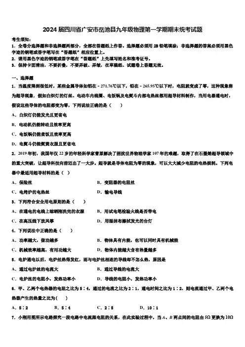 2024届四川省广安市岳池县九年级物理第一学期期末统考试题含解析