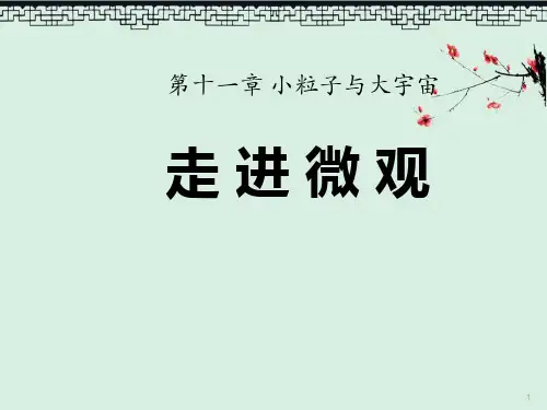 课件《走进微观》小粒子与大宇宙3PPT教育课件