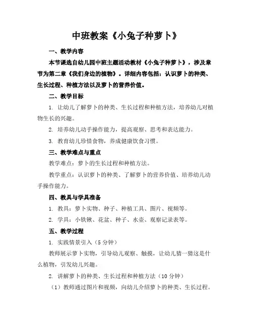 中班教案《小兔子种萝卜》