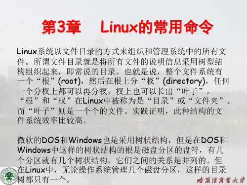 第3章Linux的常用命令精品PPT课件