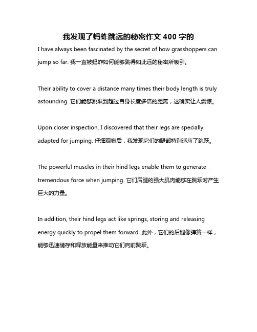 我发现了蚂蚱跳远的秘密作文400字的