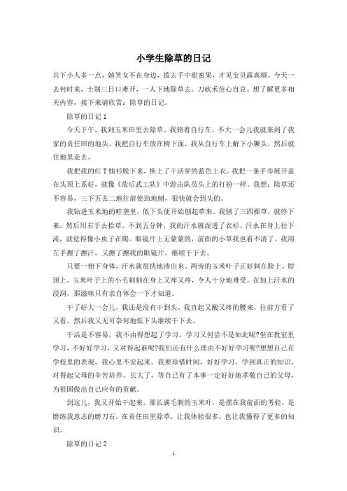 小学生除草的日记