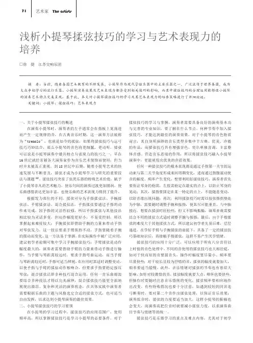 浅析小提琴揉弦技巧的学习与艺术表现力的培养