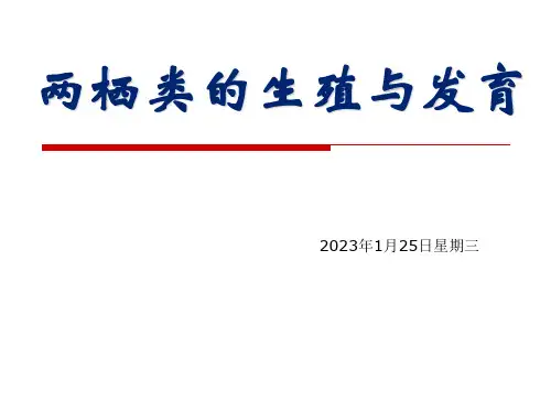 人教版八年级生物《两栖类的生殖与发育》优质课课件