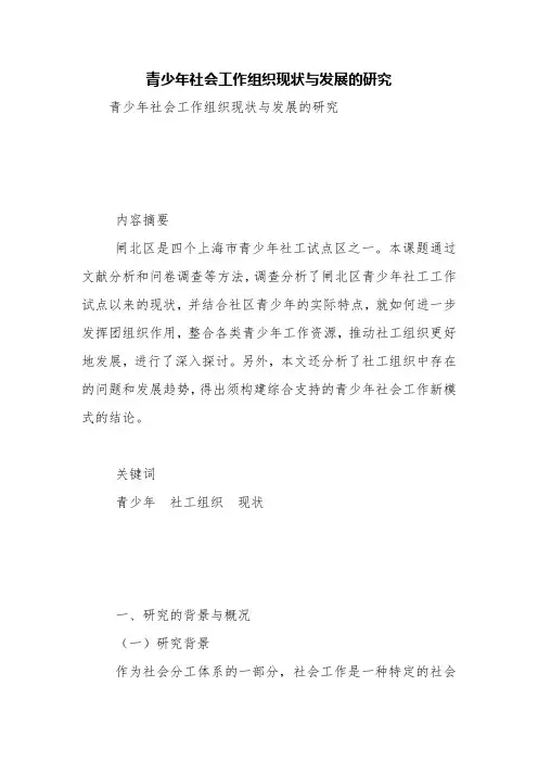 青少年社会工作组织现状与发展的研究【精品范文】