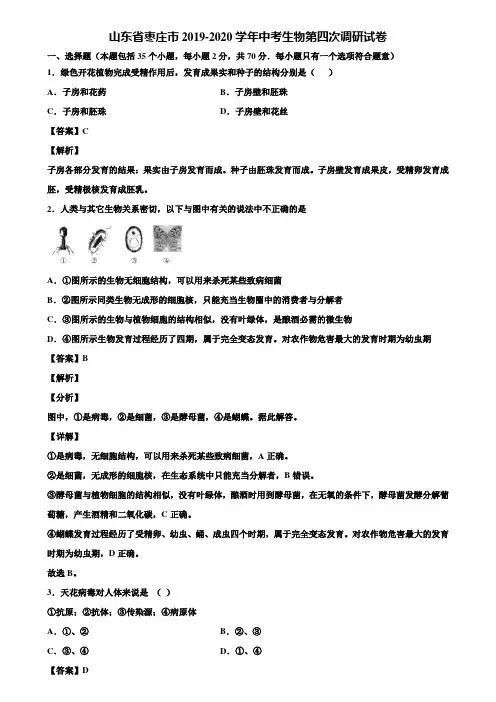 山东省枣庄市2019-2020学年中考生物第四次调研试卷含解析