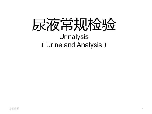 尿液常规解析PPT课件