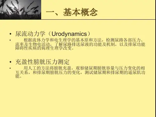 尿流动力学检查