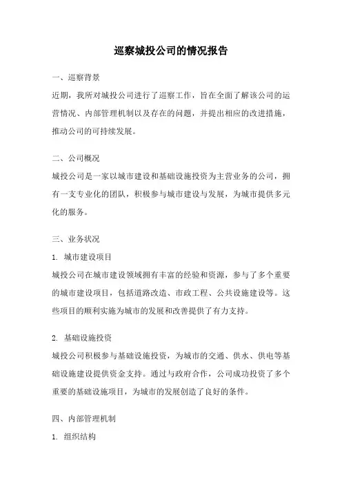 巡察城投公司的情况报告